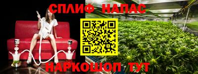 эйфоретик Бузулук