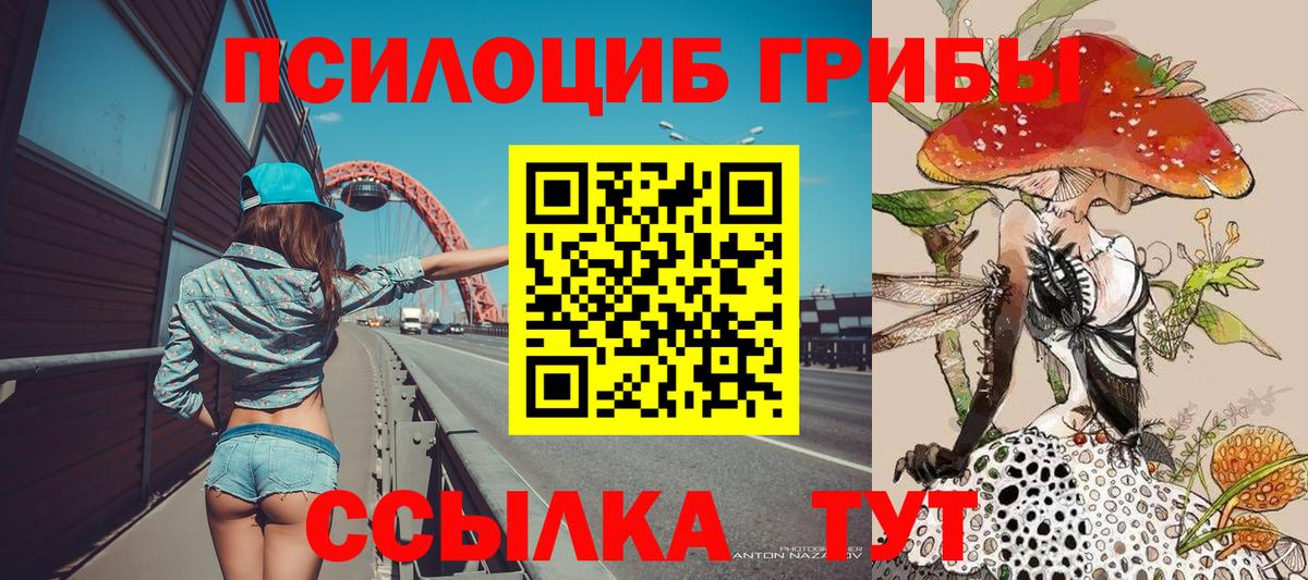 Светлоград  Псилоцибиновые грибы Cubensis  Вход с VPN 